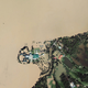 Image for article titled Terrifying before and after images of the Kashmir floods